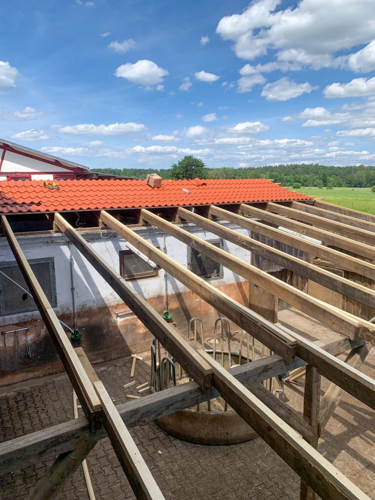 Sailer Dach und Holz Referenzen Steildachsanierung - Bild 22 von 35